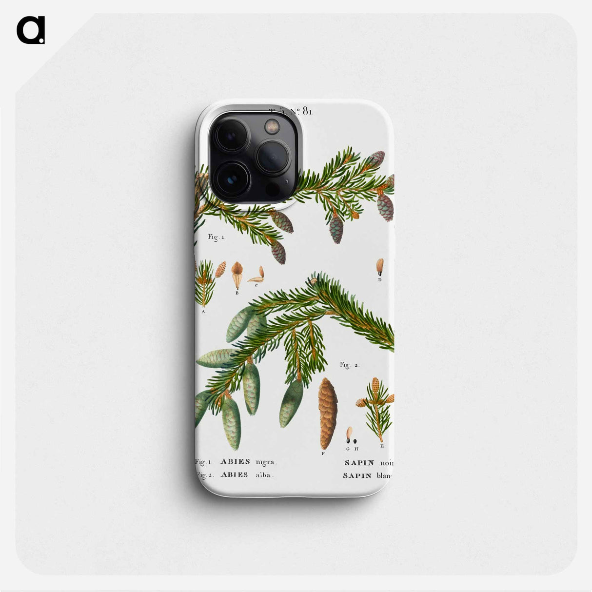 Black spruce, Abies nigra and Silver fir, Abies alba - Pierre Joseph Redouté Phone Case.