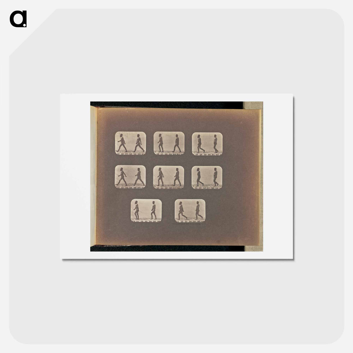 アートポストカード-Walking
- エドワード マイブリッジ Postcard.