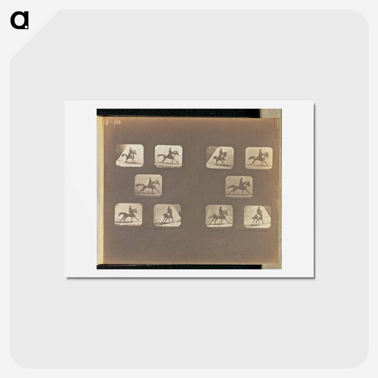 アートポストカード-Running
- エドワード マイブリッジ Postcard.