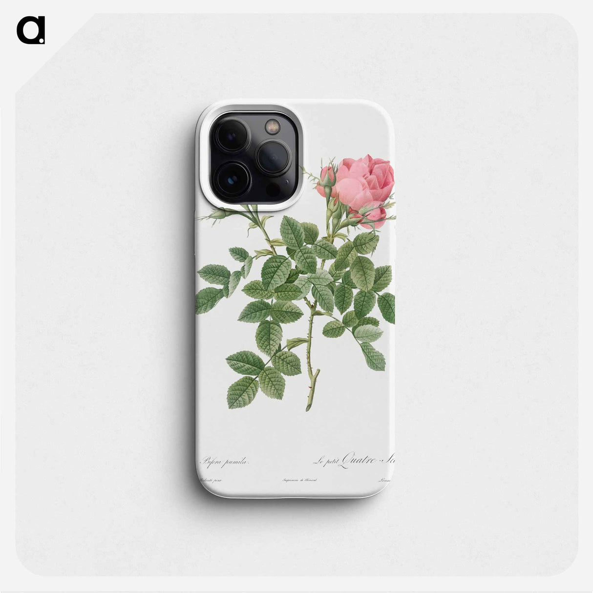 Dwarf Four Seasons Rose - ピエール ジョゼフ ルドゥーテ Phone Case.