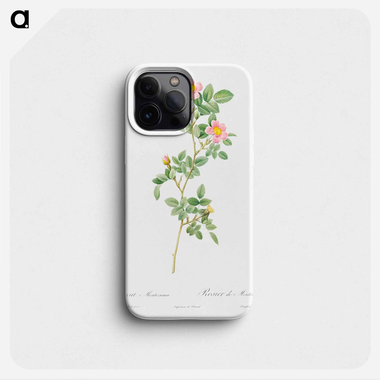 Montezuma Rose - ピエール ジョゼフ ルドゥーテ Phone Case.