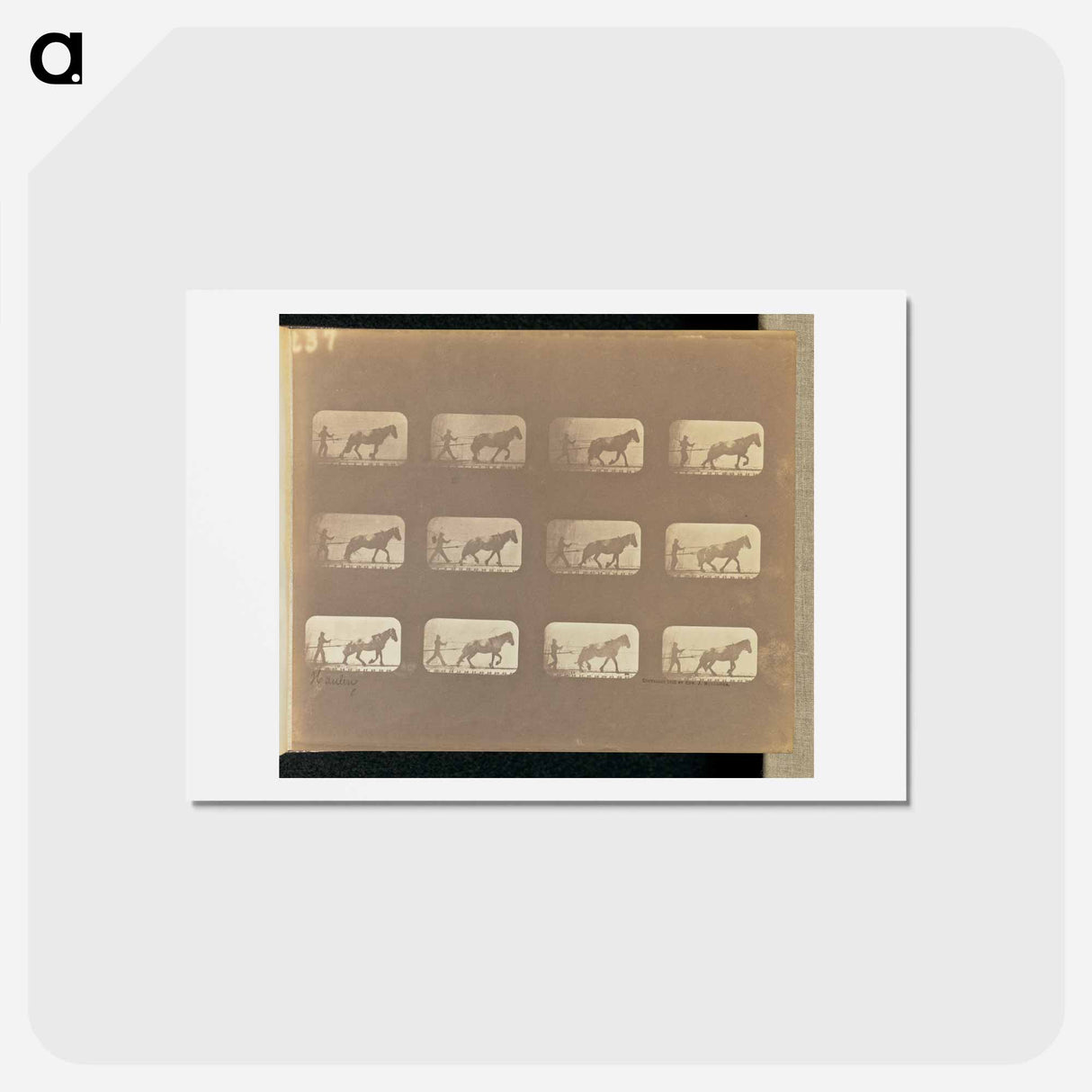 アートポストカード-Hauling
- エドワード マイブリッジ Postcard.