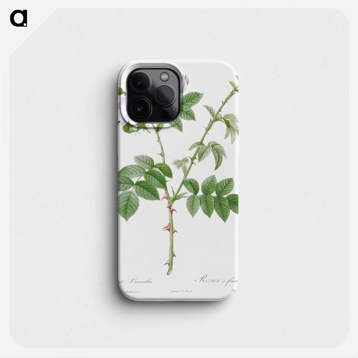 White Flowered Rose - ピエール ジョゼフ ルドゥーテ Phone Case.
