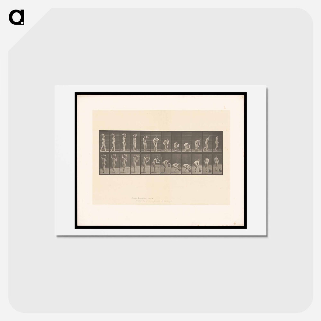 アートポストカード-The Water Carrier
- エドワード マイブリッジ Postcard.