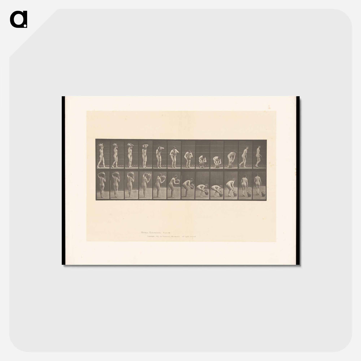 アートポストカード-The Water Carrier
- エドワード マイブリッジ Postcard.