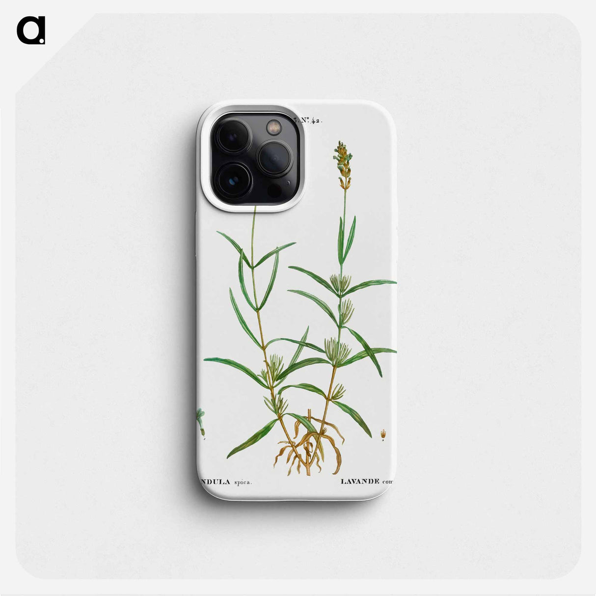 Broadleaved lavender - ピエール ジョゼフ ルドゥーテ Phone Case.