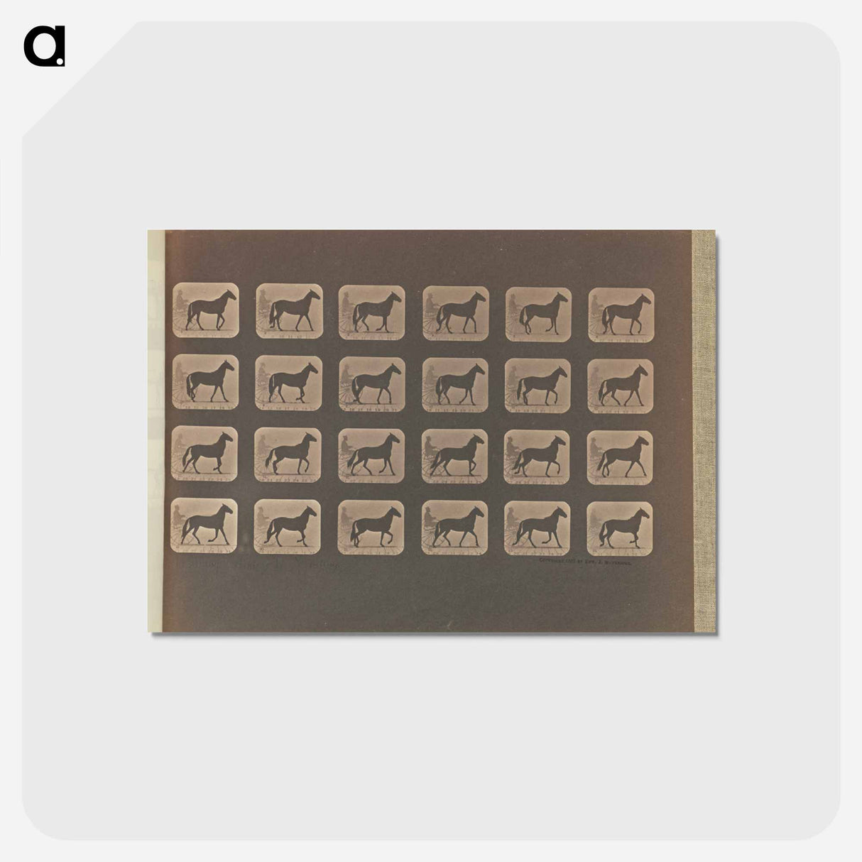 アートポストカード-Walking - Change to Trotting
- エドワード マイブリッジ Postcard.