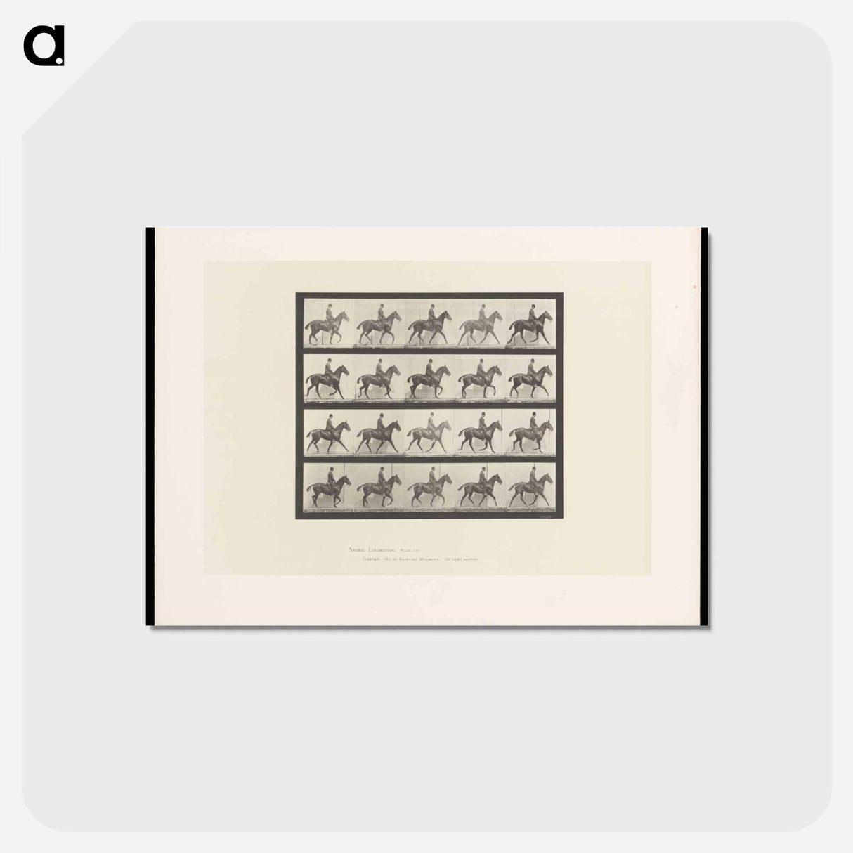 アートポストカード-Man on Horse
- エドワード マイブリッジ Postcard.