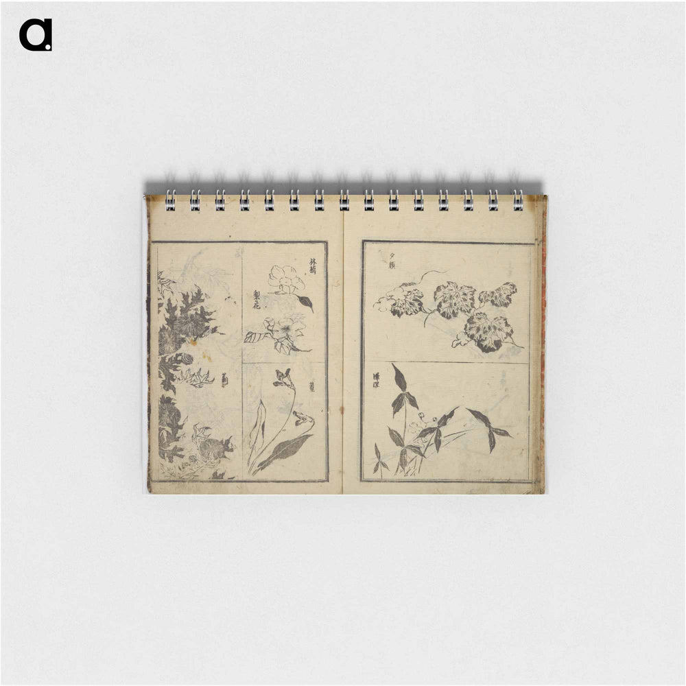 Random sketches by Hokusai - 葛飾 北斎 Memo.