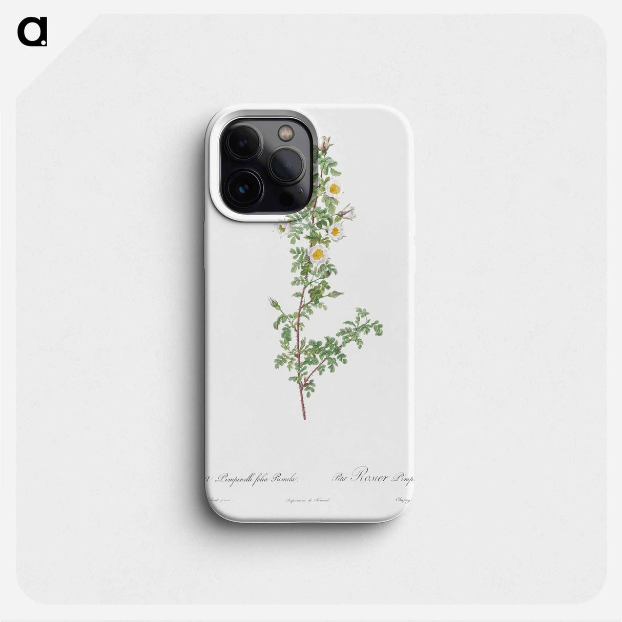 Burnet Rose - Pierre Joseph Redouté Phone Case.
