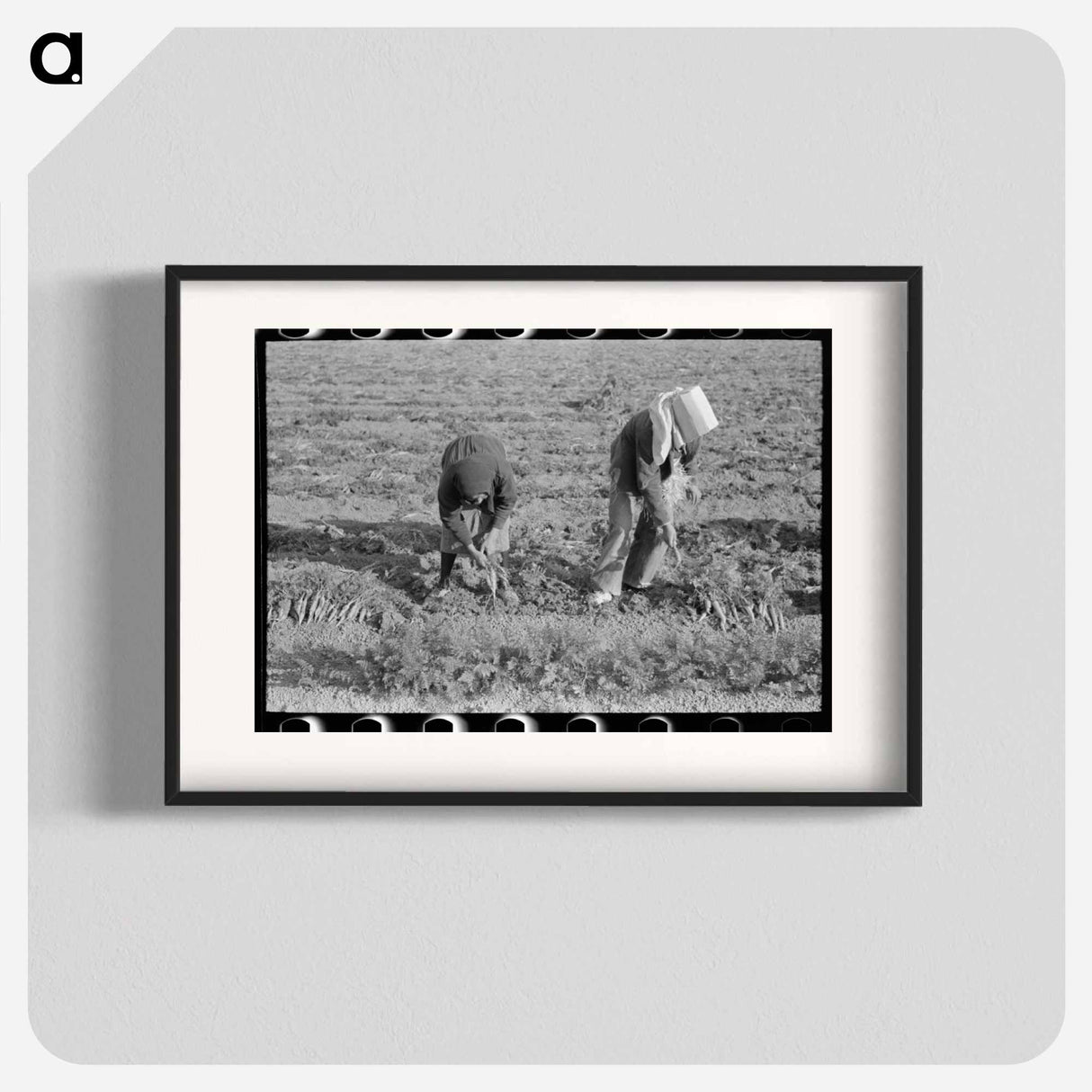 アートポスター-Carrot Harvest, Santa Maria
- ラッセル リー Poster.
