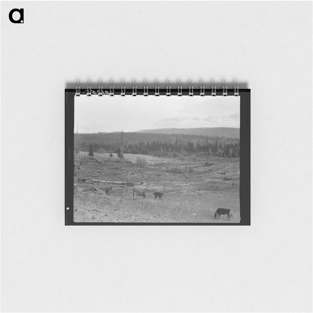 Looking over the Unruf farm from the barn - ドロテア ラング Memo.