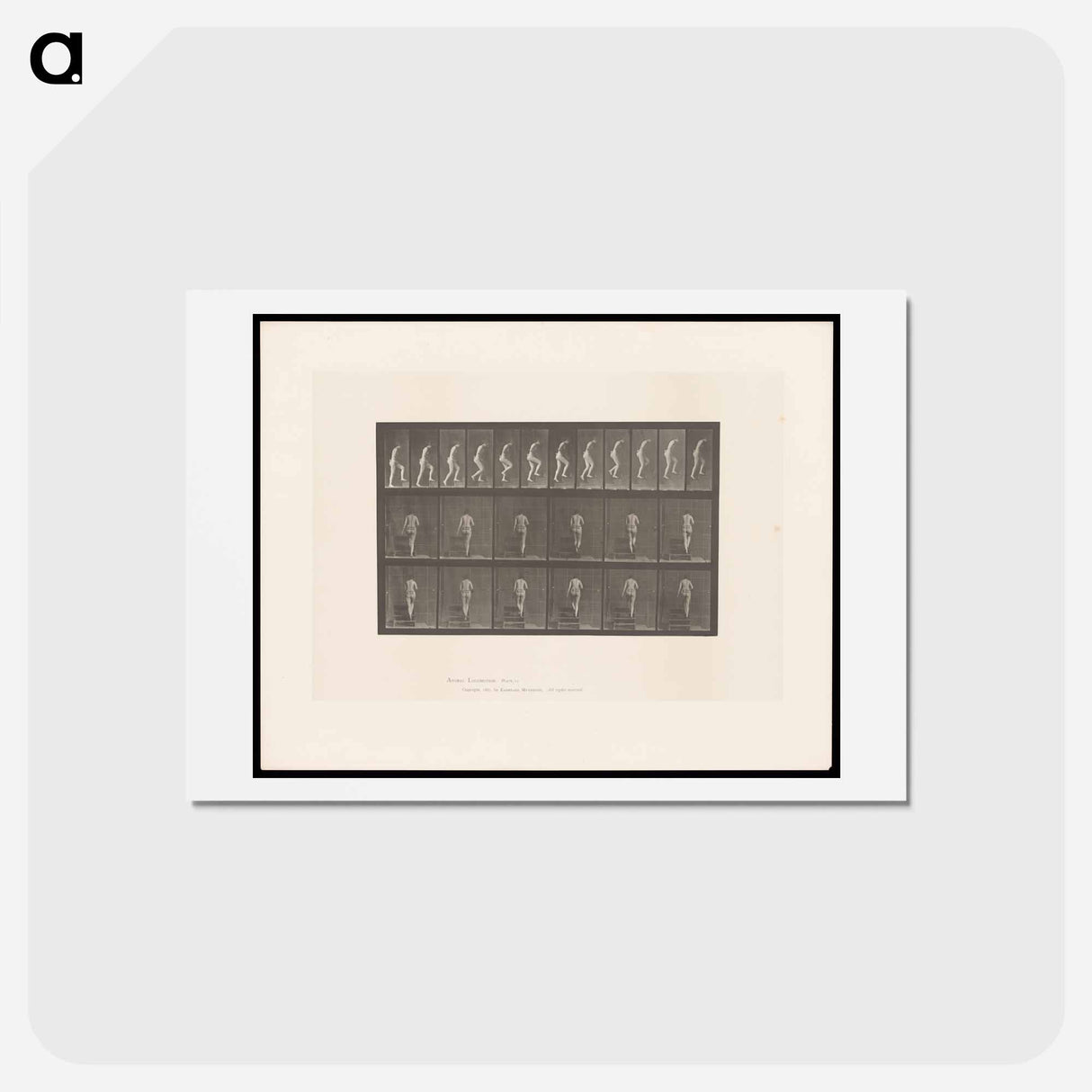 アートポストカード-Nude Descending a Staircase
- エドワード マイブリッジ Postcard.