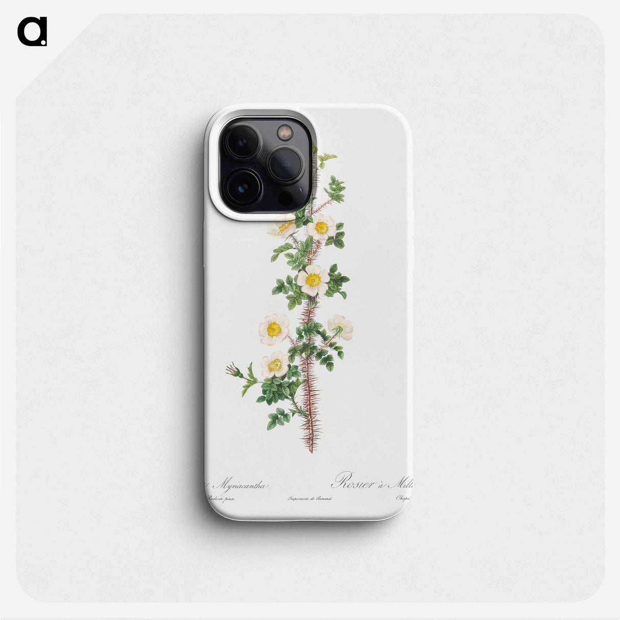 Scotch Rose - Pierre Joseph Redouté Phone Case.