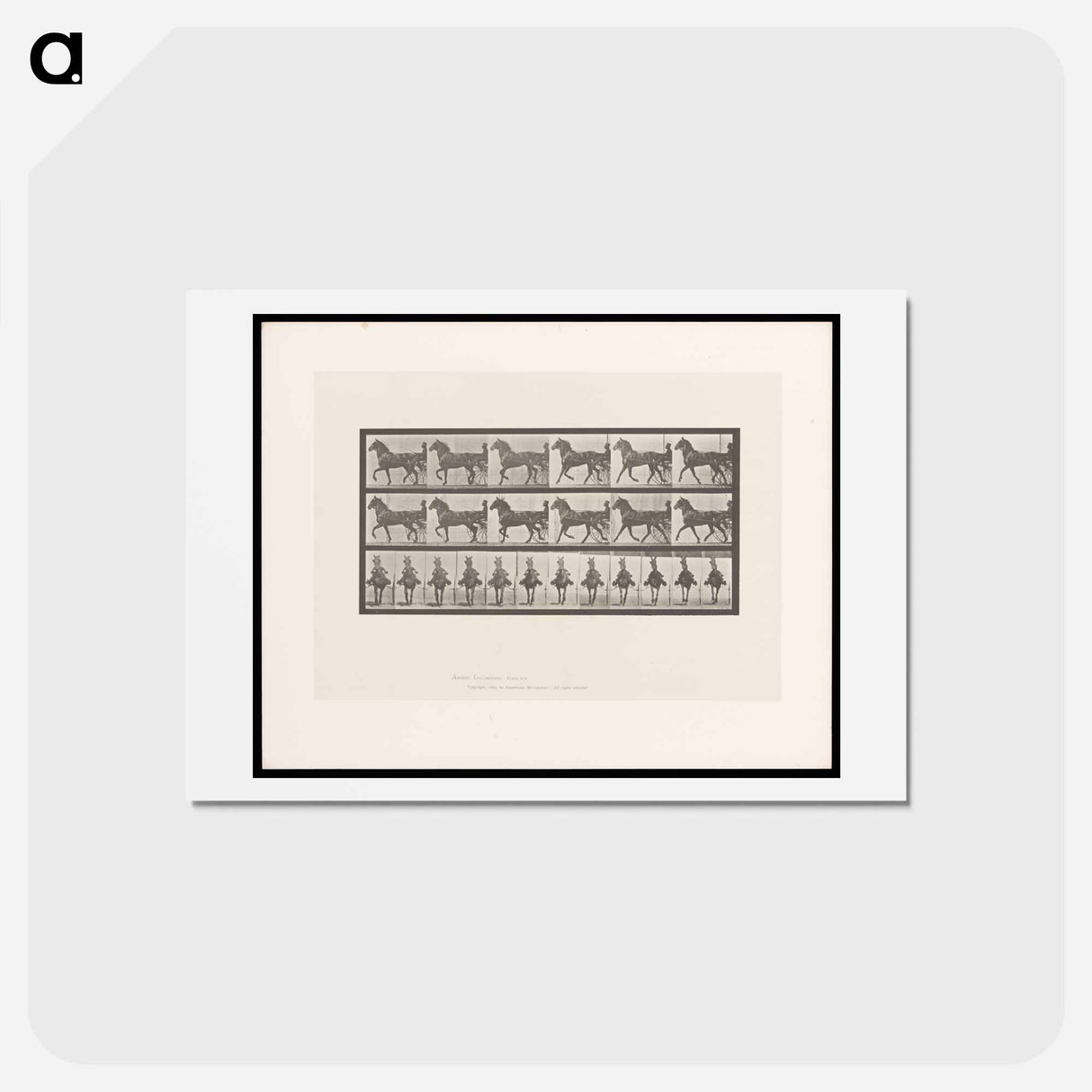 アートポストカード-Sulky Driver
- エドワード マイブリッジ Postcard.