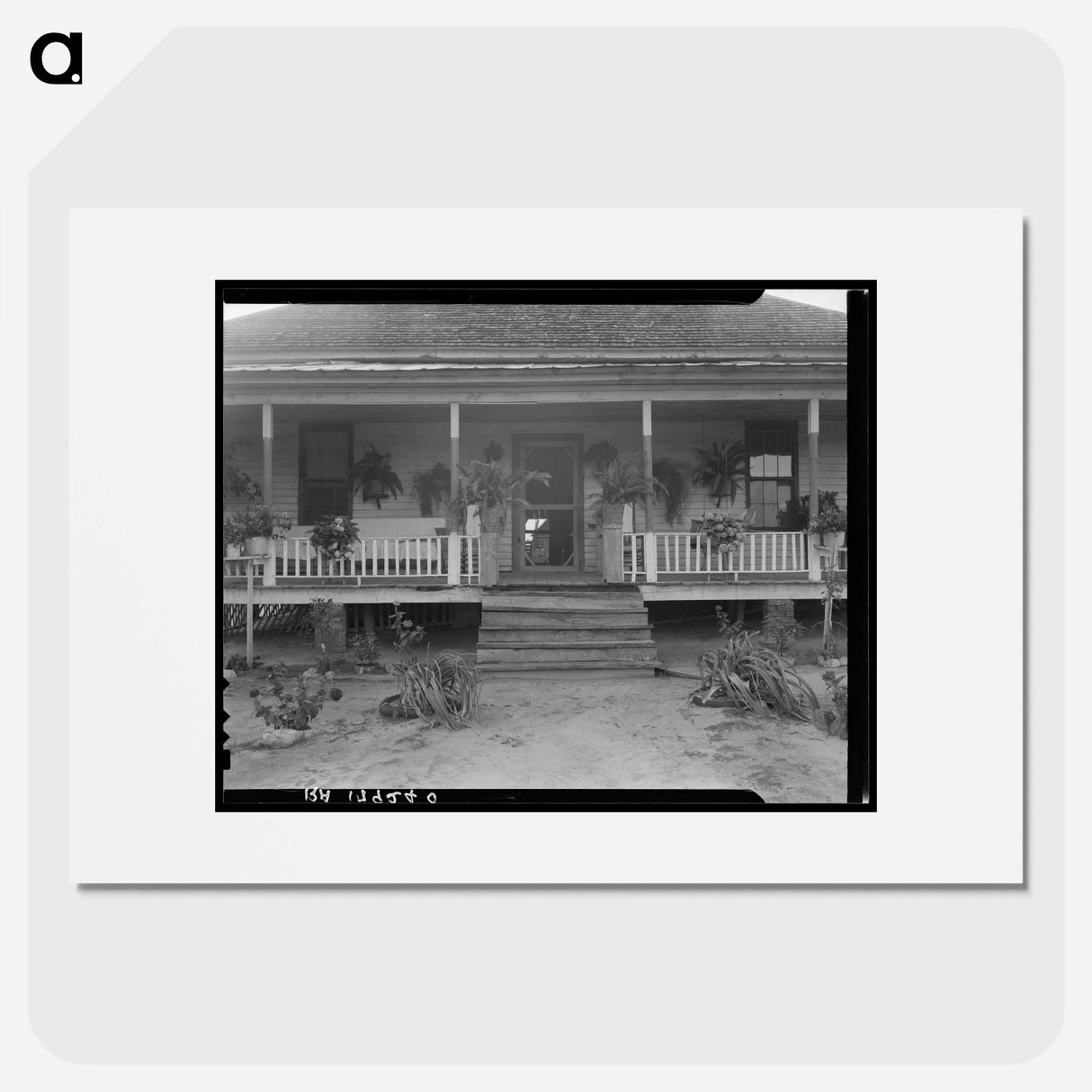 Home of landowner, Greene County, Georgia - Dorothea Lange Poster.