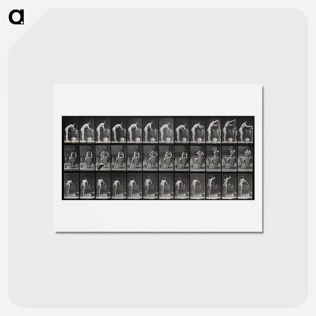 アートポストカード-Woman Washing
- エドワード マイブリッジ Postcard.