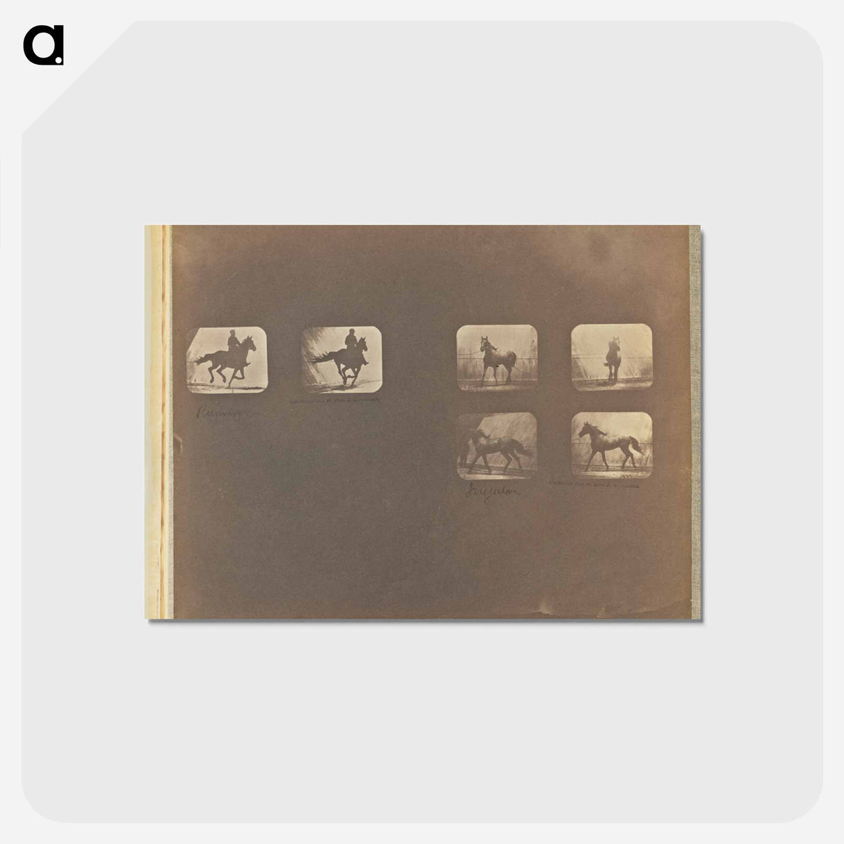 アートポストカード-Running. Irregular
- エドワード マイブリッジ Postcard.