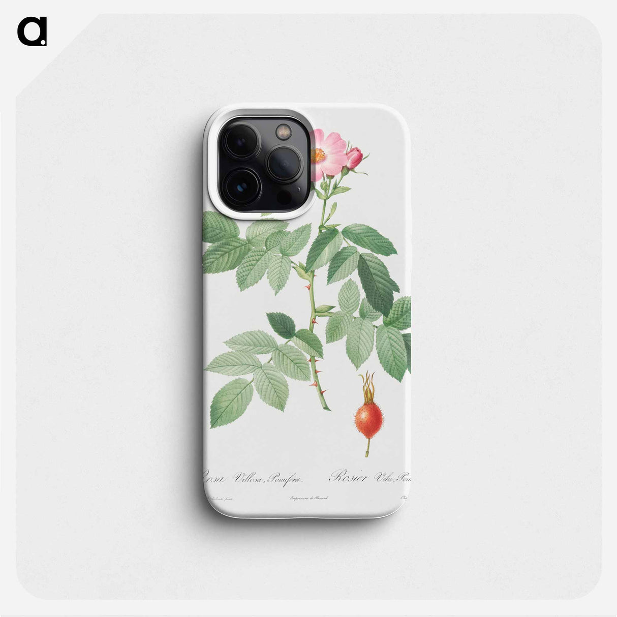 The Apple Rose - Pierre Joseph Redouté Phone Case.