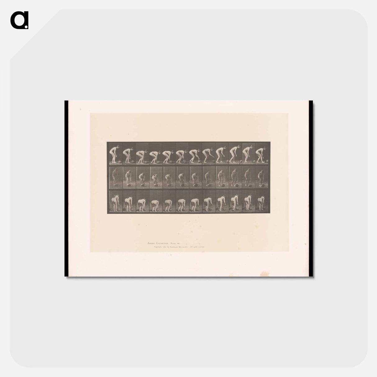 アートポストカード-Rolling Stone
- エドワード マイブリッジ Postcard.