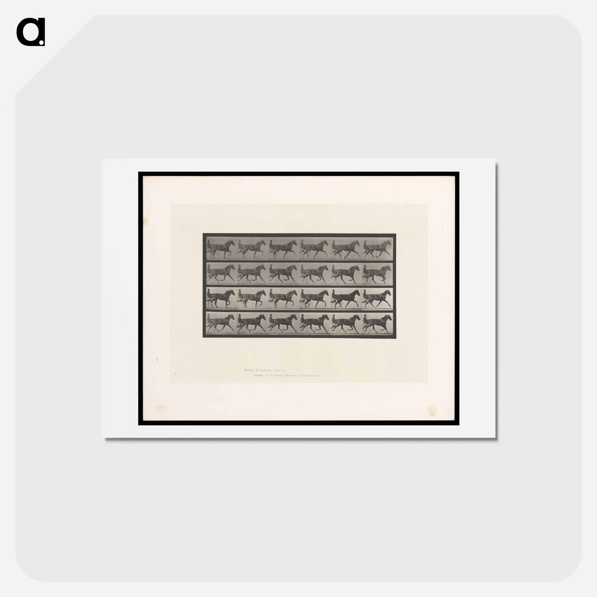 アートポストカード-Sulky Driver
- エドワード マイブリッジ Postcard.
