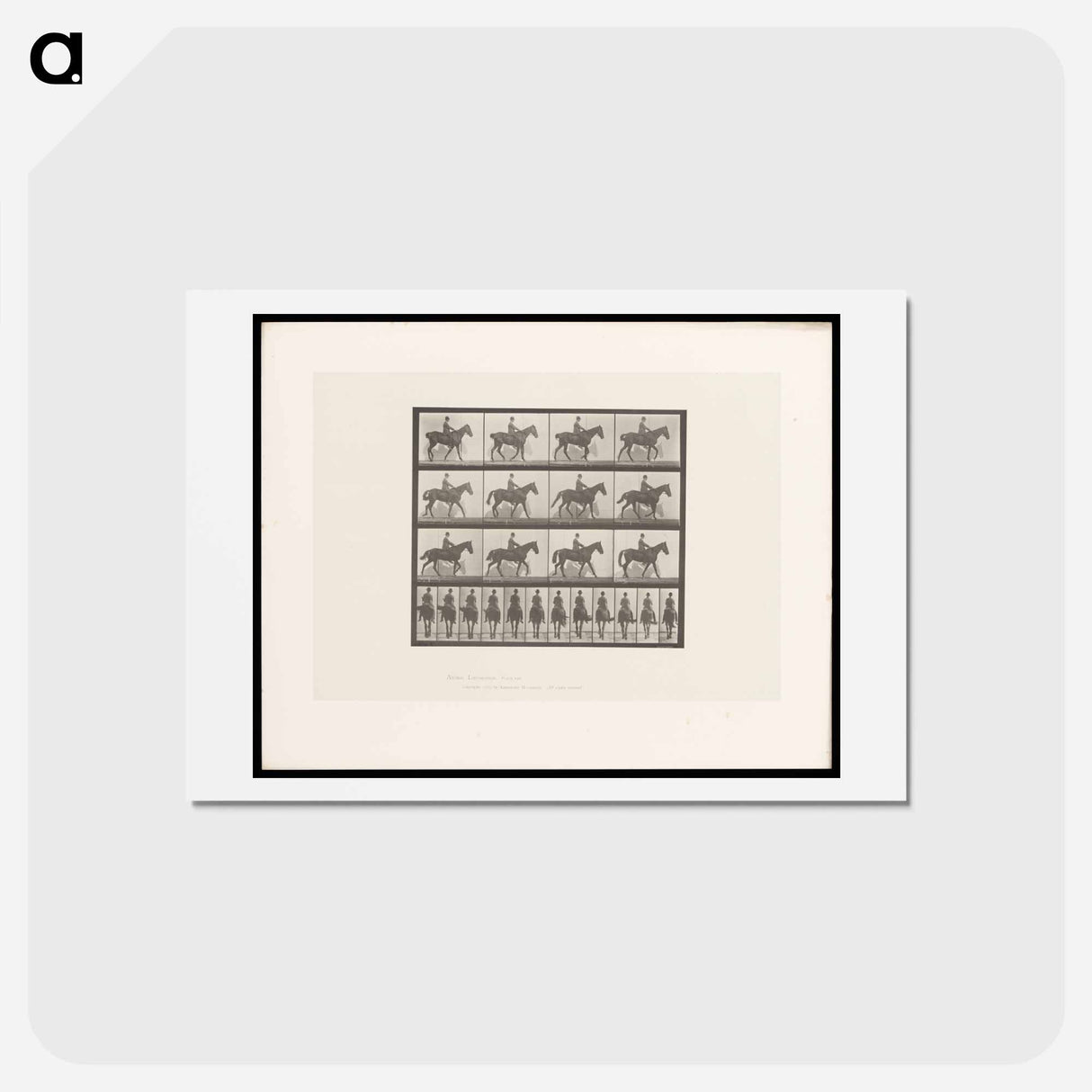 アートポストカード-Man on Horse
- エドワード マイブリッジ Postcard.