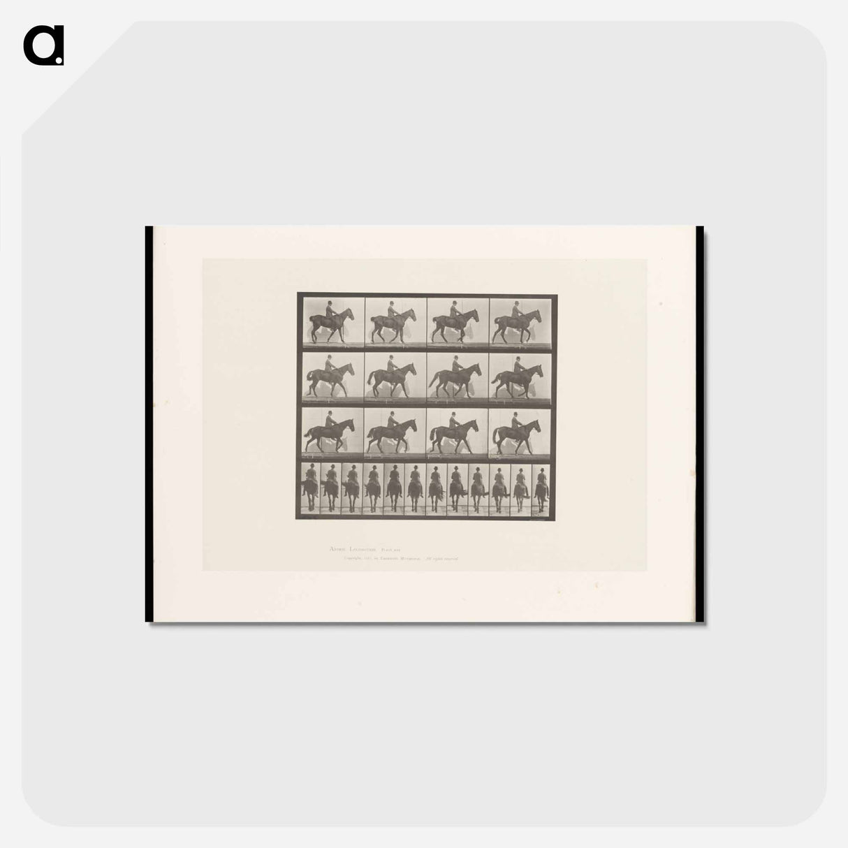 アートポストカード-Man on Horse
- エドワード マイブリッジ Postcard.
