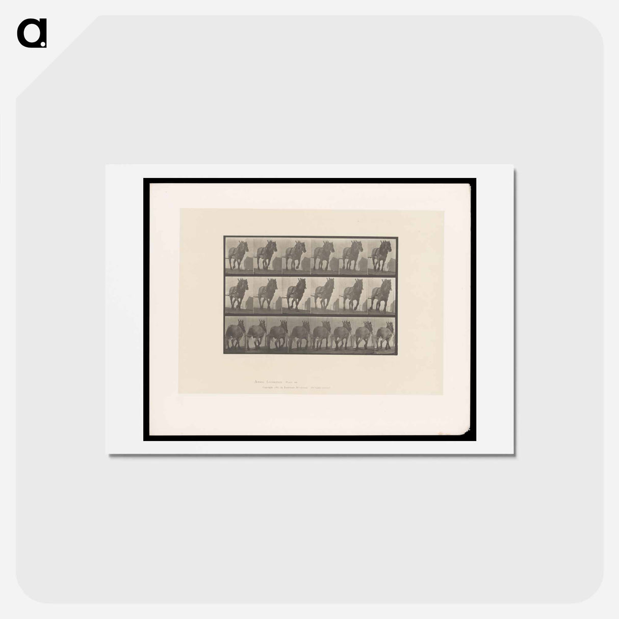 アートポストカード-Horse in Motion
- エドワード マイブリッジ Postcard.
