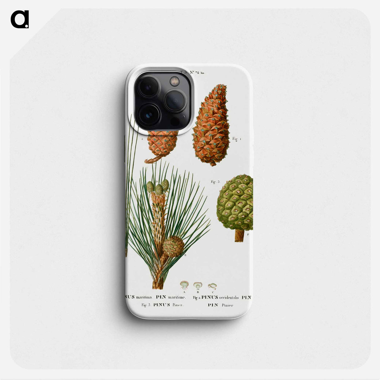 Maritime pine, Pinus maritima, Hispaniolan pine, Pinus occidentalis and Stone pine, Pinus pinea - Pierre Joseph Redouté Phone Case.