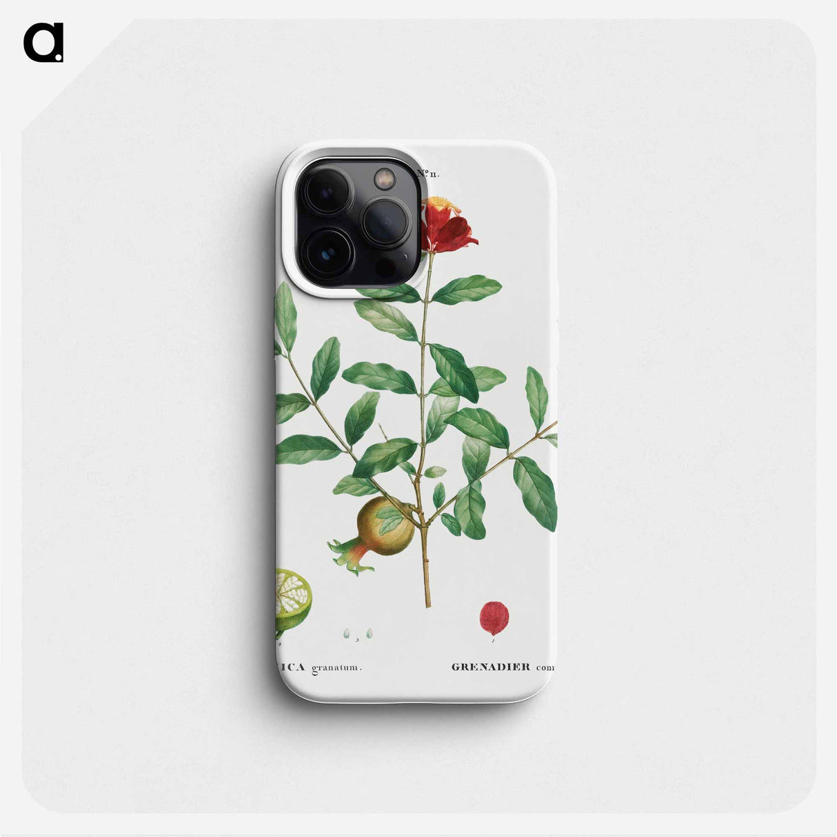 Pomegranate, Punica granatum - Pierre Joseph Redouté Phone Case.