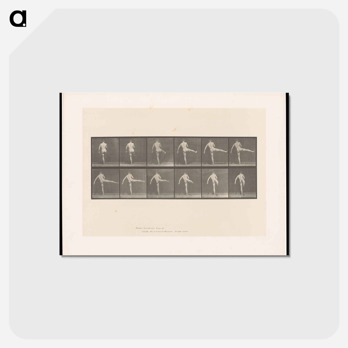 アートポストカード-Ballet Performer
- エドワード マイブリッジ Postcard.