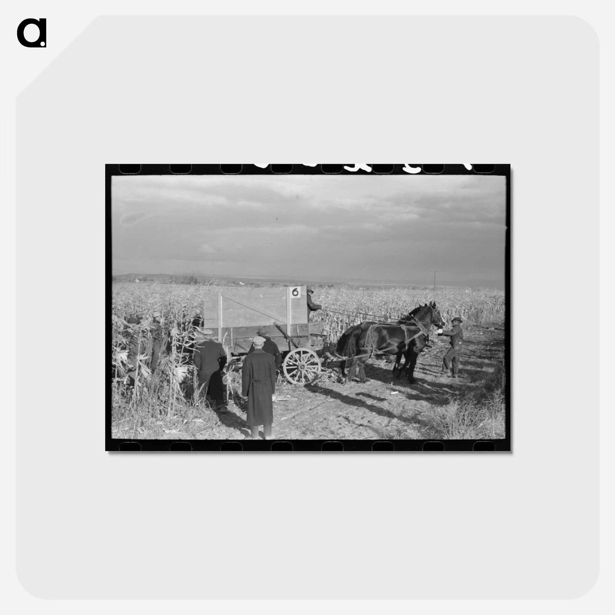 アートポストカード-Cornhusking Contest
- ラッセル リー Postcard.