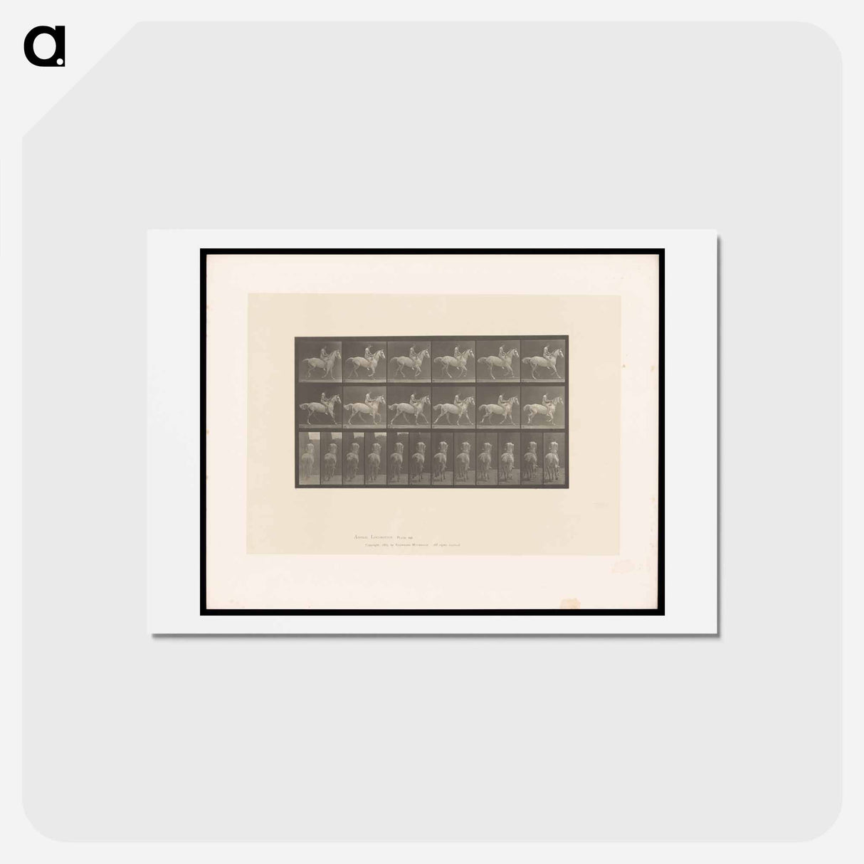 アートポストカード-Naked Horseman
- エドワード マイブリッジ Postcard.