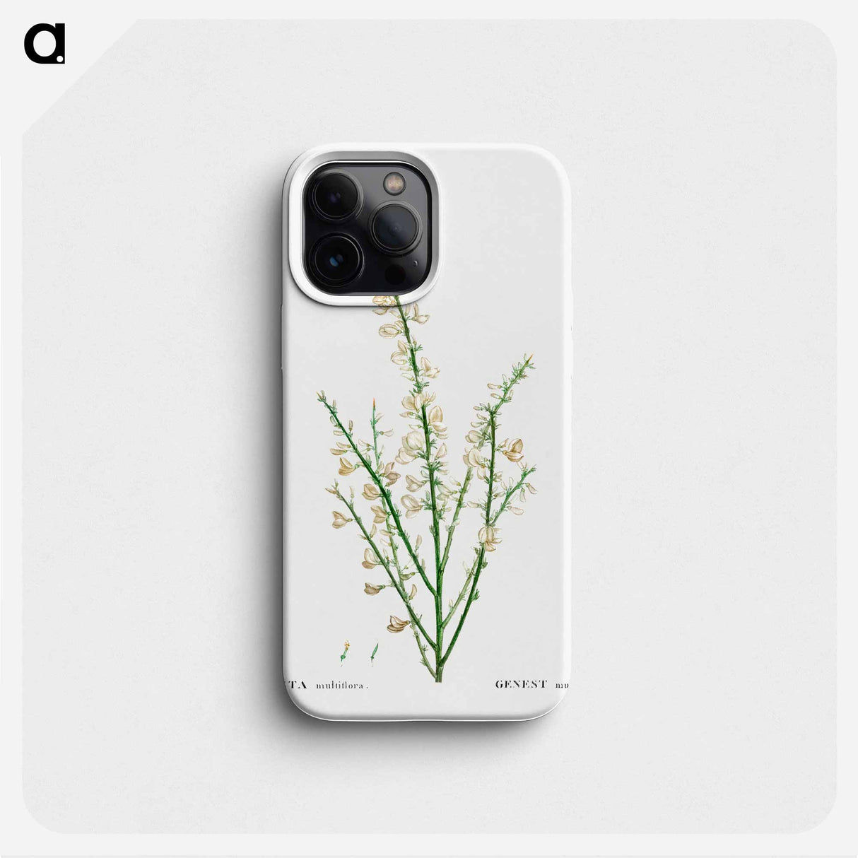 Genista multiflora - Pierre Joseph Redouté Phone Case.