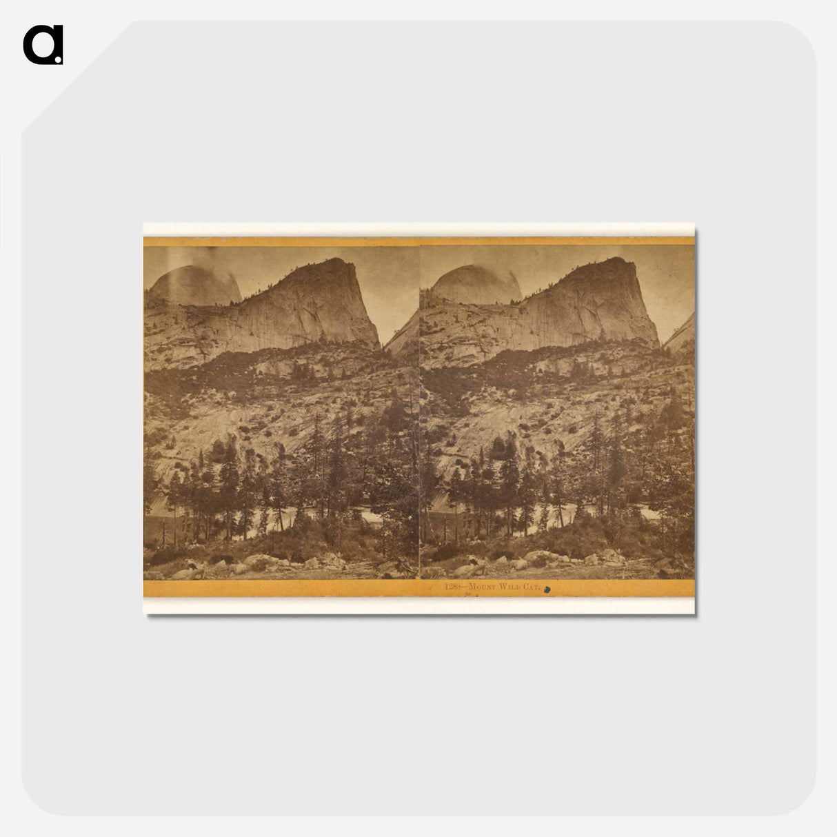 アートポストカード-Mount Wild Cat
- エドワード マイブリッジ Postcard.