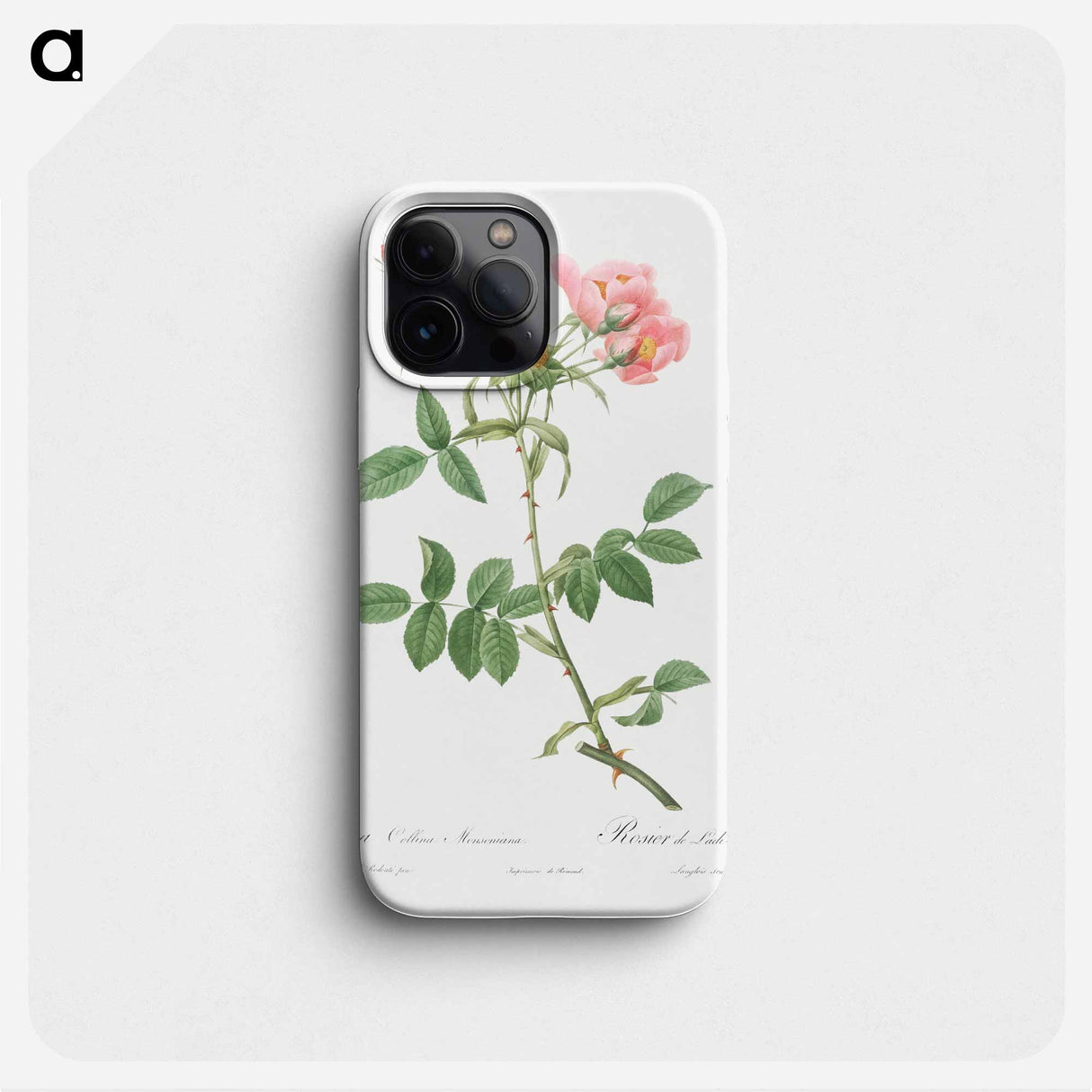 Rose of Lady Monson - Pierre Joseph Redouté Phone Case.