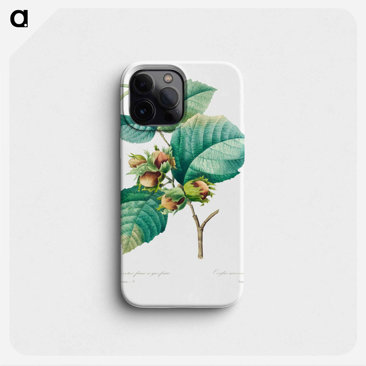 Hazelnut - Pierre Joseph Redouté Phone Case.