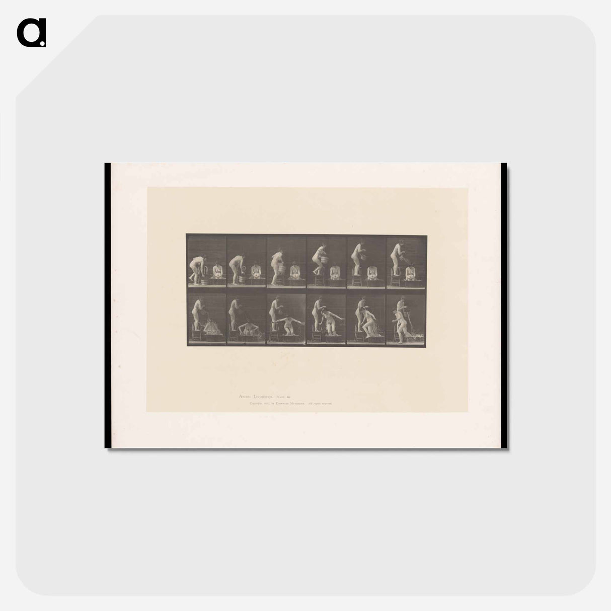 アートポストカード-The Water Pour
- エドワード マイブリッジ Postcard.