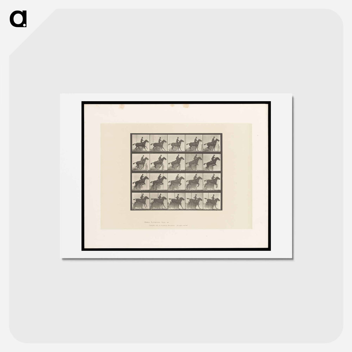 アートポストカード-Horse in Motion
- エドワード マイブリッジ Postcard.