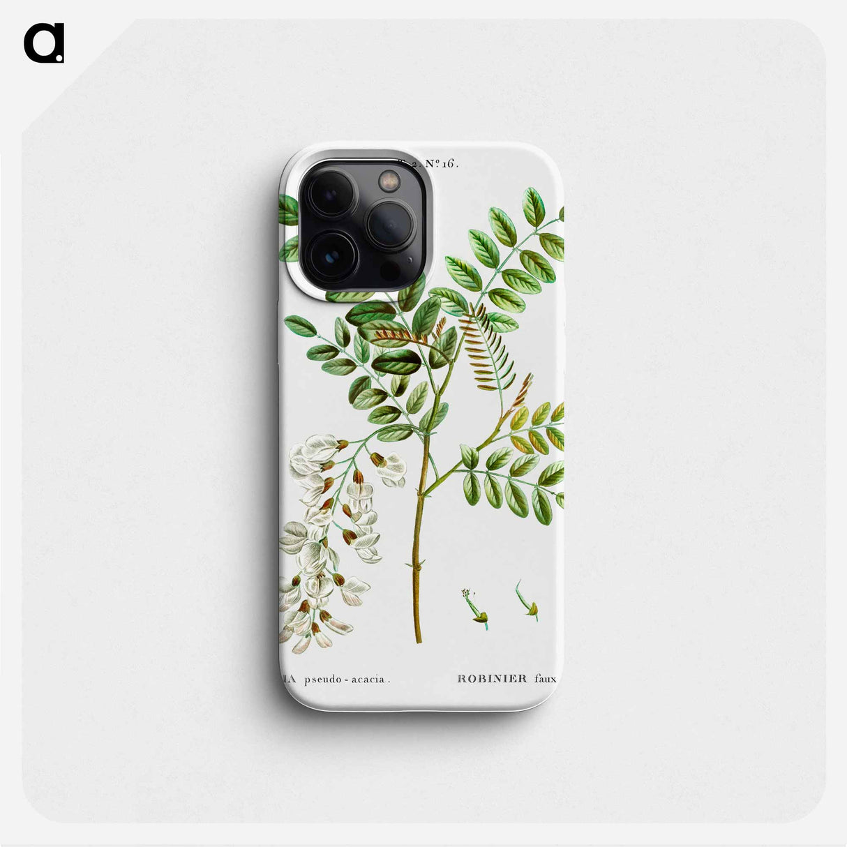 Black locust - Pierre Joseph Redouté Phone Case.