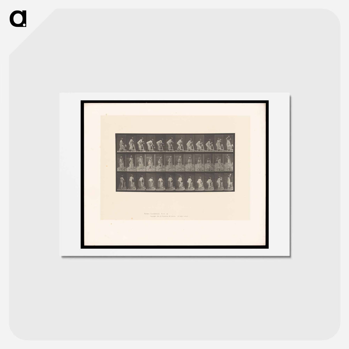 アートポストカード-Woman with Jug
- エドワード マイブリッジ Postcard.