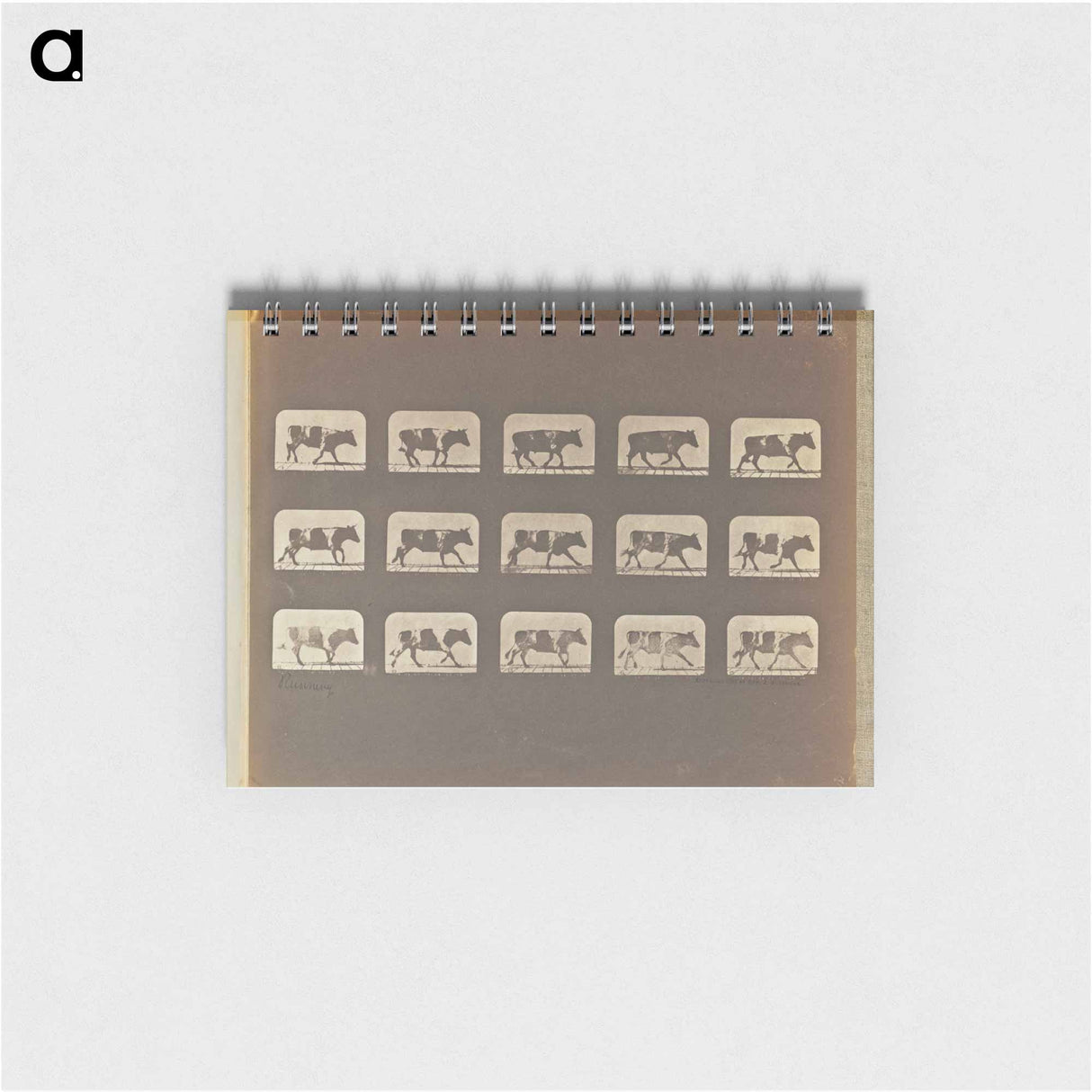 アートメモ帳-Running
- エドワード マイブリッジ Memo.
