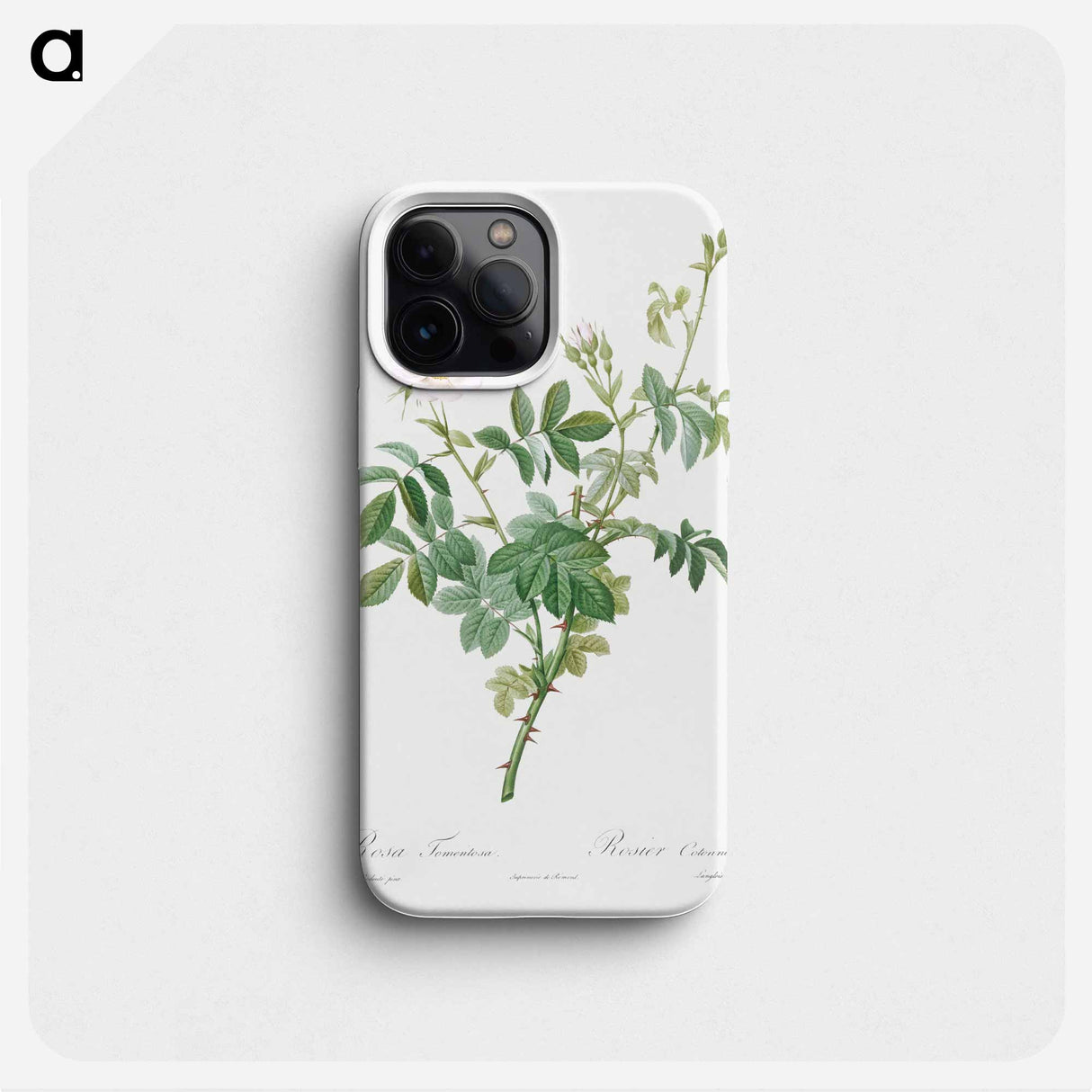 White Downy Rose - Pierre Joseph Redouté Phone Case.