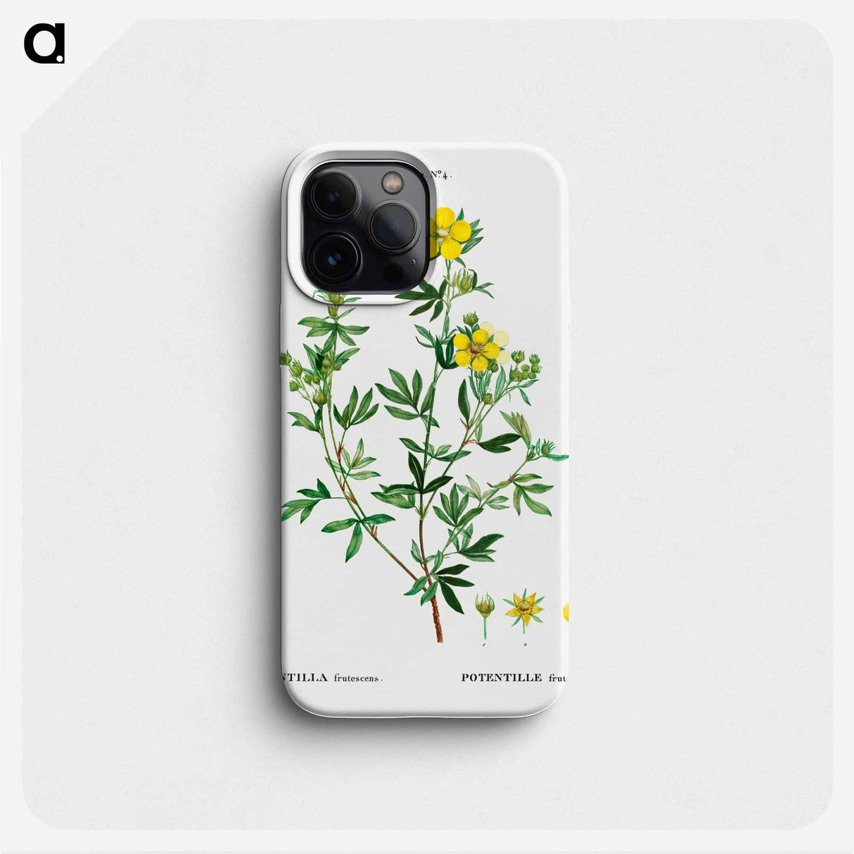 Potentilla frutescens - Pierre Joseph Redouté Phone Case.