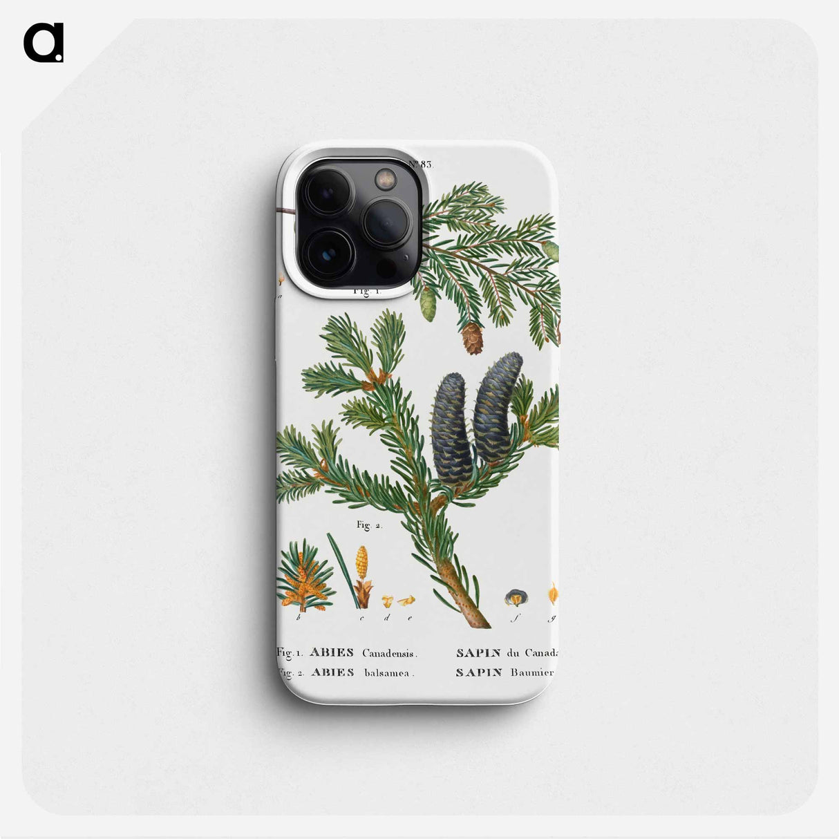 Eastern hemlock, Abies Canadensis and Balsam fir, Abies balsamea - Pierre Joseph Redouté Phone Case.