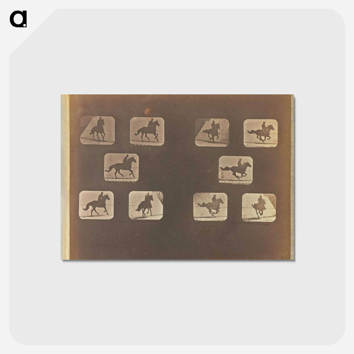 アートポストカード-Running
- エドワード マイブリッジ Postcard.