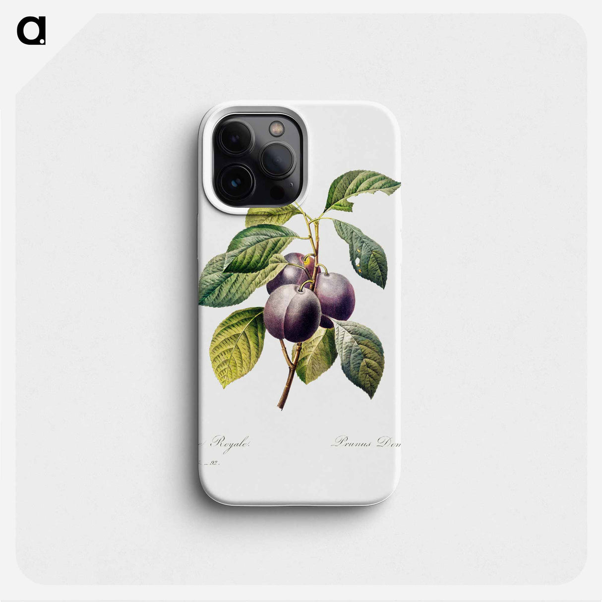 Plum - Pierre Joseph Redouté Phone Case.
