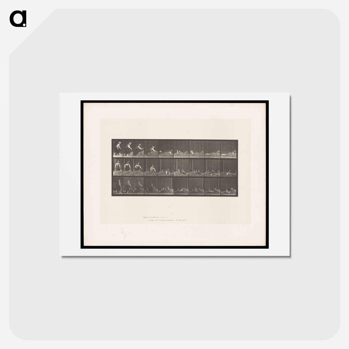 アートポストカード-Woman on Hay
- エドワード マイブリッジ Postcard.
