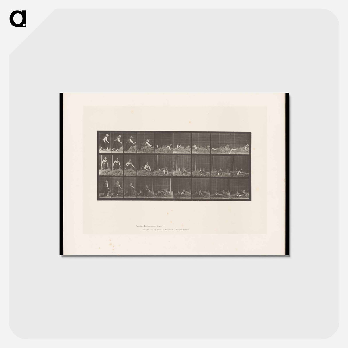 アートポストカード-Woman on Hay
- エドワード マイブリッジ Postcard.