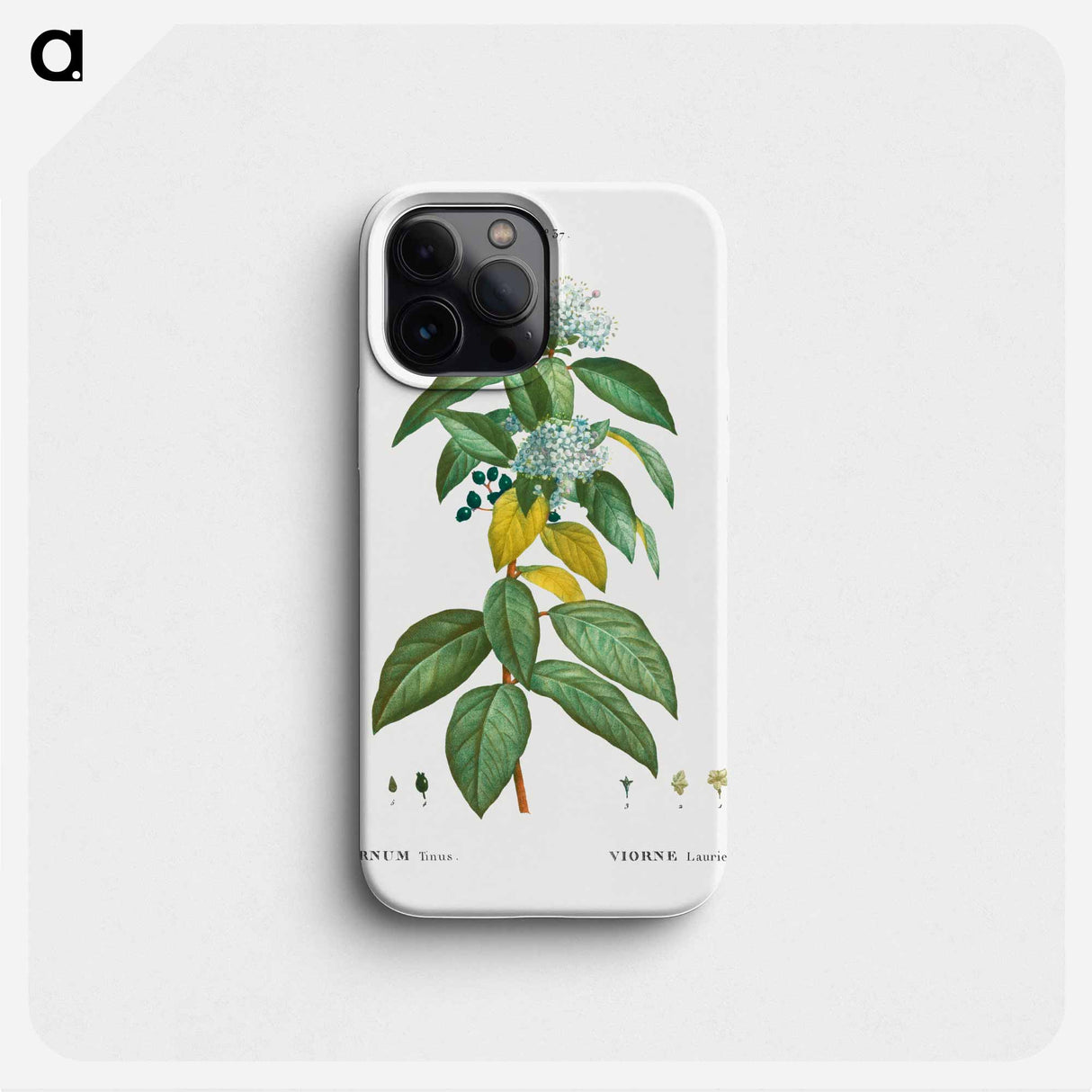 Laurustinus (Viburnum tinus) - Pierre Joseph Redouté Phone Case.